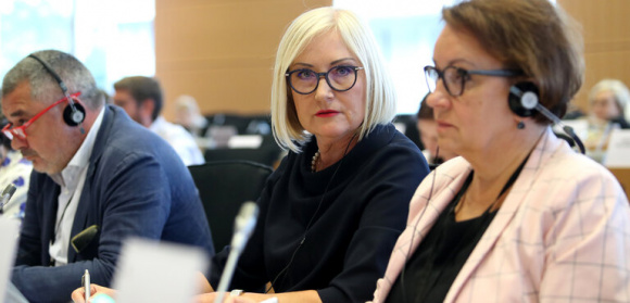 Joanna Kopcińska w dyskusji z Komisją Europejską nt. norm jakości i bezpieczeństwa substancji pochodzenia ludzkiego przeznaczonych do stosowania u ludzi