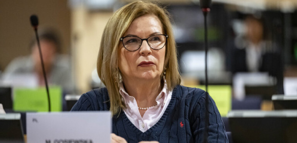 Małgorzata Gosiewska do Sikorskiego: 