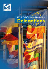 ECR Group Members Delegations