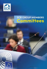 ECR Group Members Committees